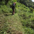 김용봉 | 경기광주 벌초대행 태전동 산64-2 김용봉님 산소