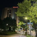 청어람할인마트 | 난리법석 동기 모임 👩‍👩‍👧‍👧 in 신도림 라마다호텔