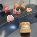 서울뉴치과의원 이미지