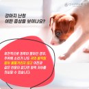 다비치보청기 명일역점 이미지
