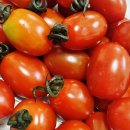 꿈꾸는농장 이미지