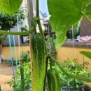 행복나무유치원 이미지