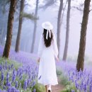 혜원 이미지