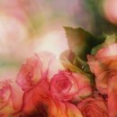 김*림 - 미추홀구 경인북길 443-7 | 김*림