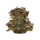 장천할인마트 이미지