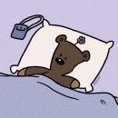 라인정보