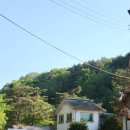 강변통나무펜션 | 홍천계곡펜션 추천｜계곡·사우나·바베큐 무한리필까지 되는 높은터펜션 후기