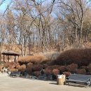 벽운근린공원 이미지