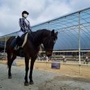 퀸즈승마장 이미지