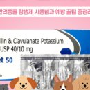 천우약국 네이버블로그