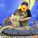 자연생태어린이집 이미지