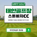 초원리조텔 | 태안골프장추천 스톤비치CC 10만원대로 숙소까지 해결하는 가성비 실존