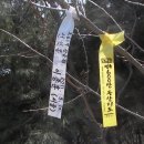 용리산 Daum카페