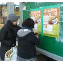향성농원 Daum카페