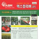 흥농종묘사 이미지