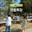 중티목장 | 상주 방목 목장 아이와 동물 체험 농장 모동목장
