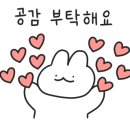 Moon글램핑 이미지