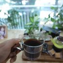 명성흑염소농장 이미지