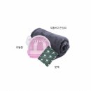 이앤박동물병원 | 햄스터 병원 및 날씨 대처법, 건강검진 눈병 털빠짐