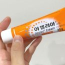 아젤리아 네이버블로그