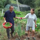 박영철농장 이미지