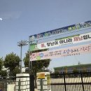 변동초교병설 이미지