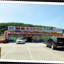 일송꽃게장백반본점 이미지