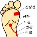발맛사지 Daum카페