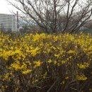 소문난찜 이미지