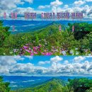 태화산 전경 이미지