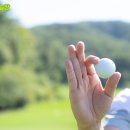 골프 팩트 이미지