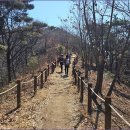 앞산(대구, 660m) 이미지