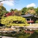 은빛77번길 이미지