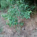 웅포농장 이미지