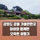 화폐 속 주인공은 나야 나 | 강원도 강릉 가볼만한곳 아이와 함께한 오죽헌 후기