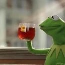 까끼애견미용 이미지