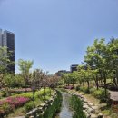 해플 | 판교해링턴플레이스 행복주택 46형 입주 1년 느낀점 후기