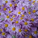 홍천산골놀이터 이미지