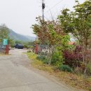 코끼리 관광농원 이미지