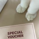 반자주 W스퀘어점 | 가을맞이 빕스 VIPS 부산W스퀘어점 방문 ｜연어·게 요리 가득한 가을 저녁 식사