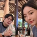 스테이하코 이미지