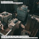뉴넥스 네이버블로그
