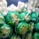 태양식자재유통 이미지