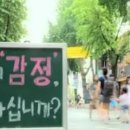 플랜트리 이미지