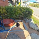 짱짱이네김밥 이미지