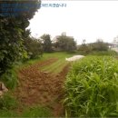 외답주유소 이미지