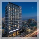 샬롬 | 샬롬호텔 제주 숙박 후기