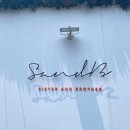 샌드비(SandB) 이미지