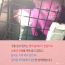 핑키 - 포항시 북구 | 핑키