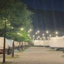 피노키오관광농원 이미지